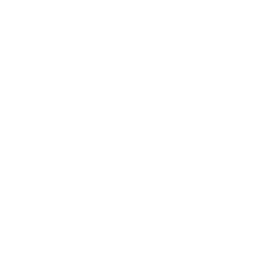 Zsolt Nagy logo